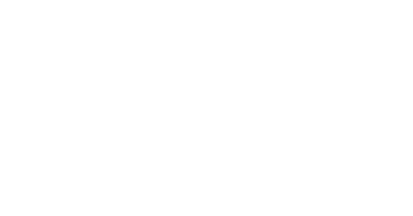 VMG Software